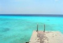 Snorkel and Beach Safari